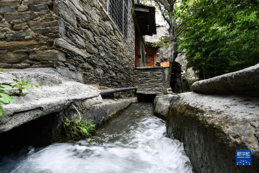 鱼鱼乐棋牌